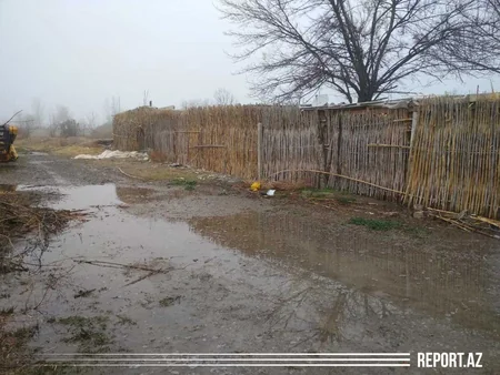 Bərdədə məcburi köçkünlərin evlərini su basıb - VİDEOREPORTAJ