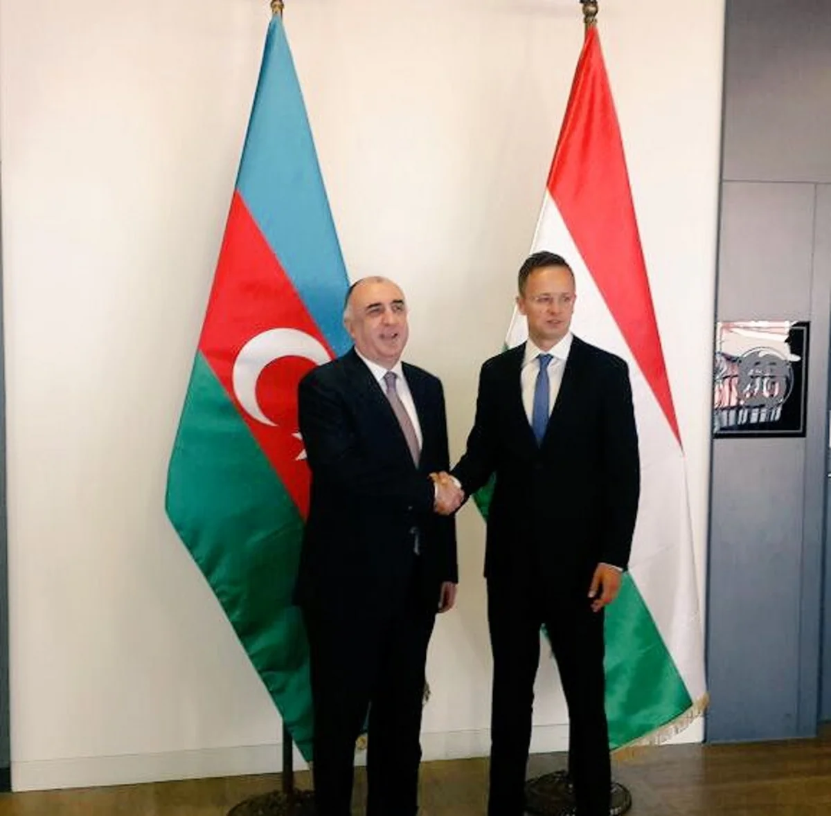Foreign Ministers of Azerbaijan, Hungary mull cooperation issues