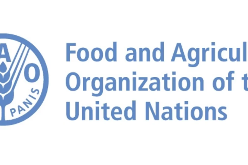 Azərbaycanla FAO arasında tərəfdaşlığa dair saziş təsdiqlənib