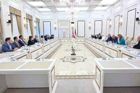 Chairs of Azerbaijani, Lithuanian parliaments mull prospects for co-op development