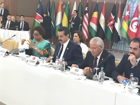 Türkiyəli və afrikalı iş adamları Azərbaycana sərmayə qoymağa dəvət olunublar