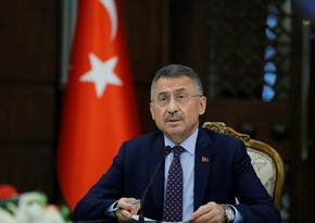 Фуат Октай: Устроившие теракт в Стамбуле будут пойманы и ответят перед законом