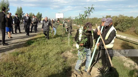 Sabirabadda Zəfər Günü münasibətilə 10 min ədəd ağac əkilib