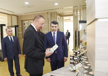 President Ilham Aliyev inaugurates ABAD Center in Balakan