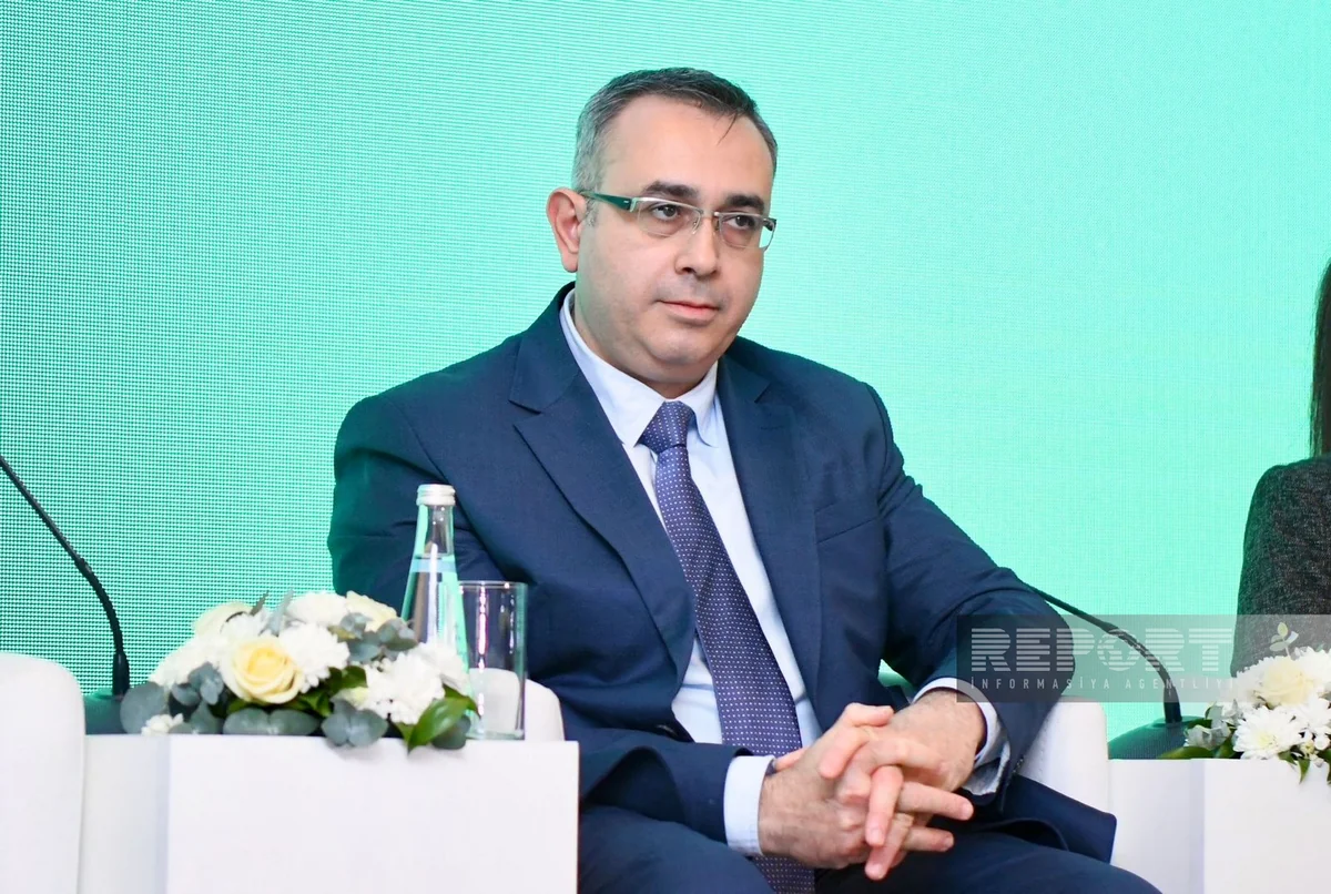 Nazir müavini: İnsanlar iqlim dəyişikliyinin insan sağlamlığına təsirindən xəbərsizdir