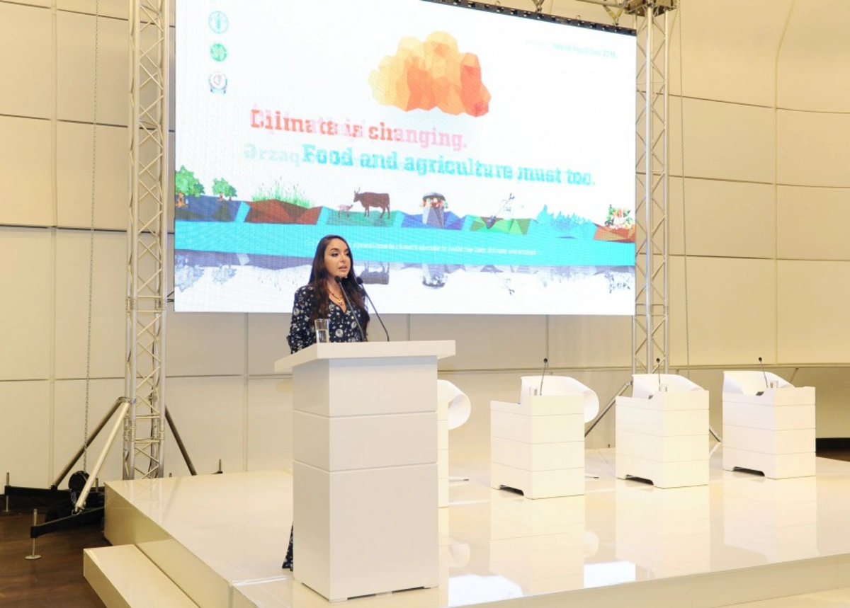 Leyla Əliyeva: İşimizlə, ümidlə, inamla, nəzakətlə və sevgi ilə daha parlaq gələcək qura bilərik