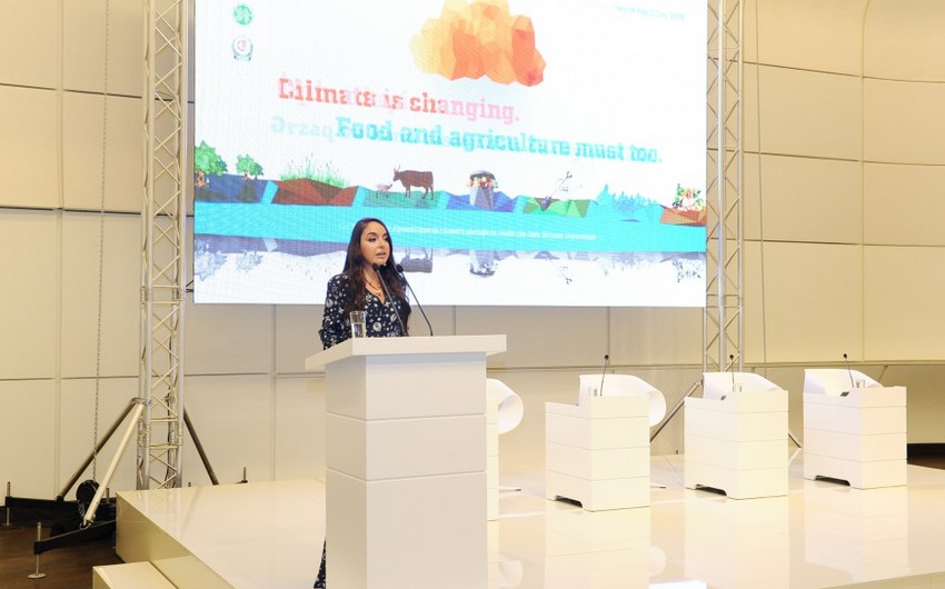 Leyla Əliyeva: İşimizlə, ümidlə, inamla, nəzakətlə və sevgi ilə daha parlaq gələcək qura bilərik