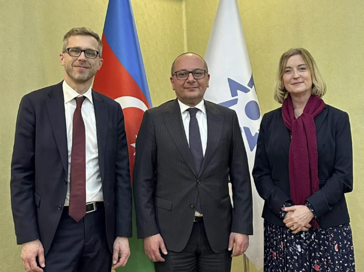 Azərbaycan və İsveç arasında minatəmizləmə sahəsində əməkdaşlıq müzakirə olunub