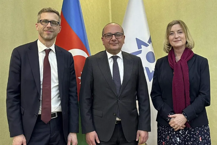 Azərbaycan və İsveç arasında minatəmizləmə sahəsində əməkdaşlıq müzakirə olunub