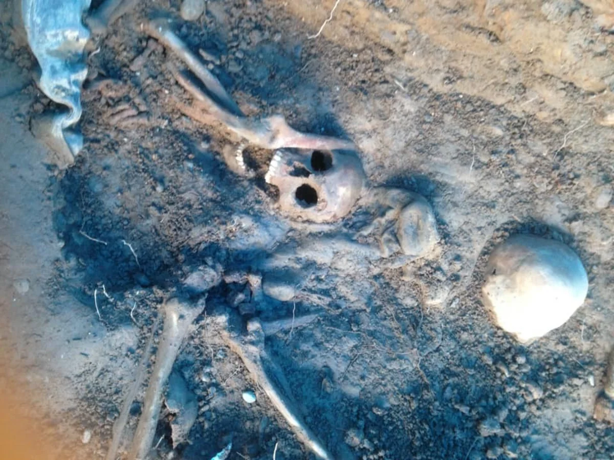 Gürcüstanda kütləvi məzarlıq aşkar olunub - FOTO