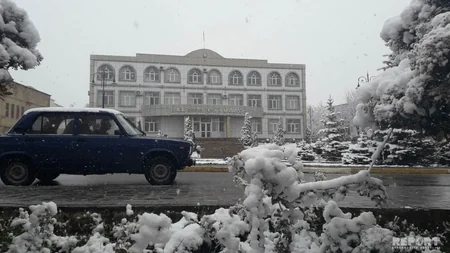 Снег оставил без электричества ряд сел в Лерикском районе - ВИДЕО