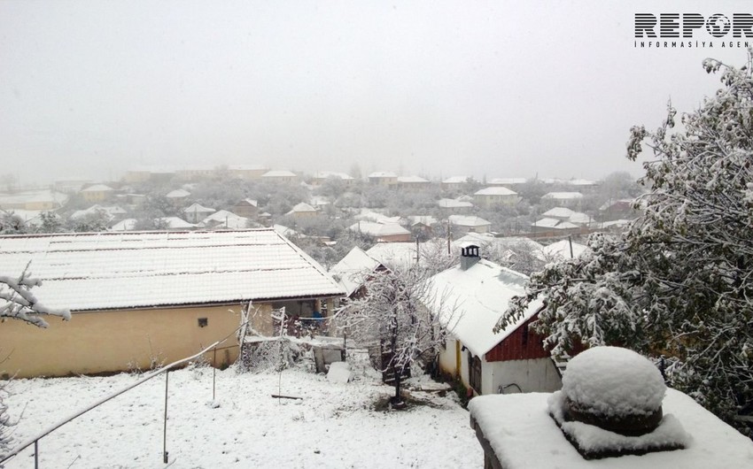 Cənub bölgəsinə qar yağır - FOTO