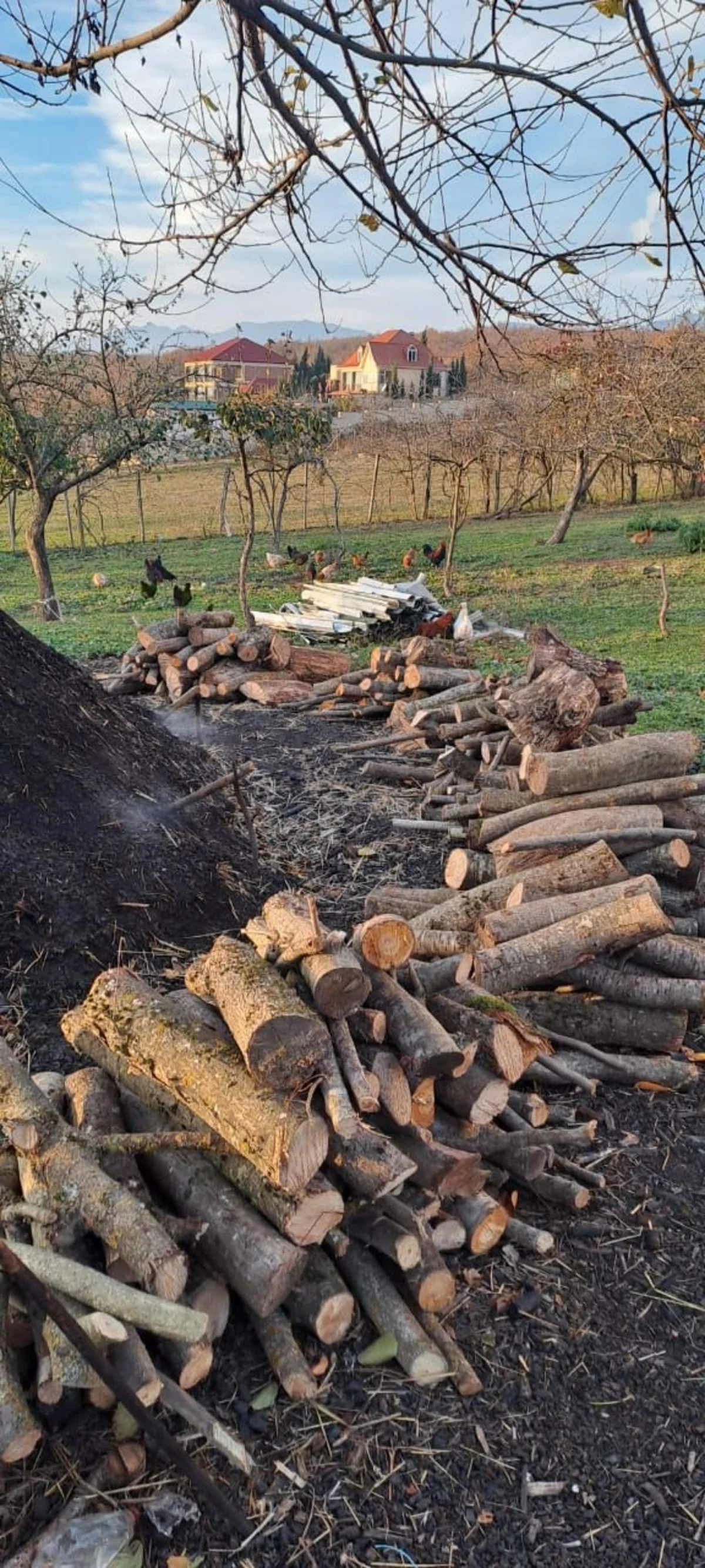 Ağsuda qanunsuz yolla kömür istehsal edən quyular aşkarlanıb