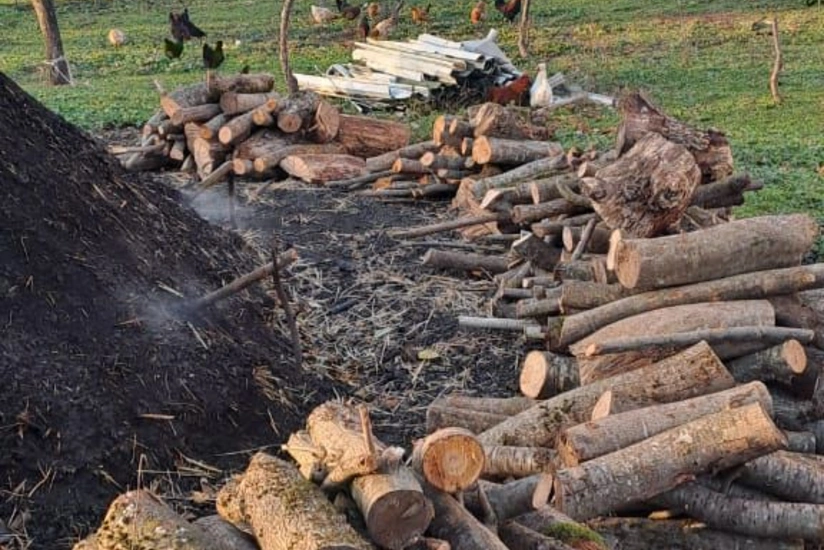 Ağsuda qanunsuz yolla kömür istehsal edən quyular aşkarlanıb
