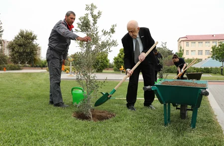 SOCAR “Heydər Əliyev İli” çərçivəsində ağacəkmə aksiyası təşkil edib