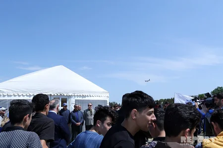 YAP Bakıda ağacəkmə aksiyası keçirib