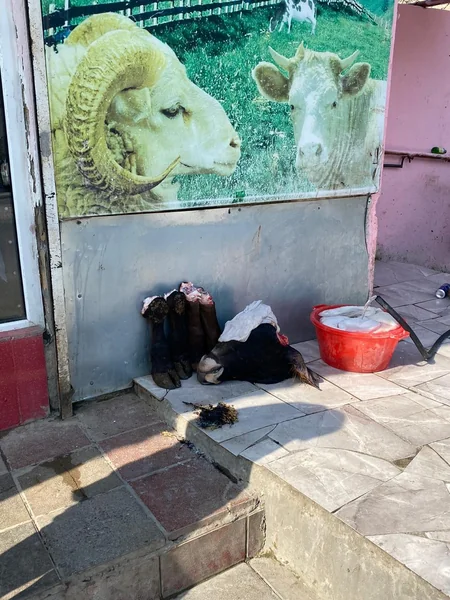 Bakıda qanunsuz sallaqxana aşkarlandı