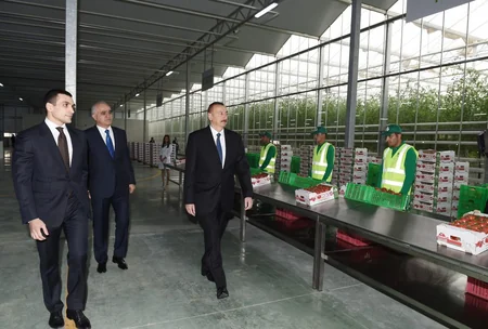 Prezident İlham Əliyev Zirə qəsəbəsində “BAKU AGROPARK”da görülən işlərlə tanış olub