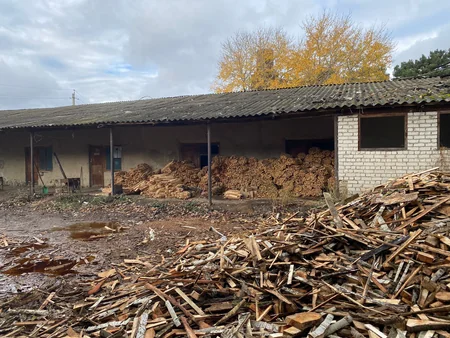 Xaçmazda qanunsuz ağac emal edən sexlər barədə araşdırma aparılır