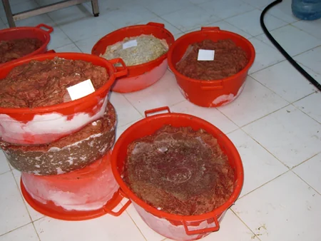 Abşeronda kolbasa sexində mənşəyi məlum olmayan ətlər aşkarlanıb - FOTO