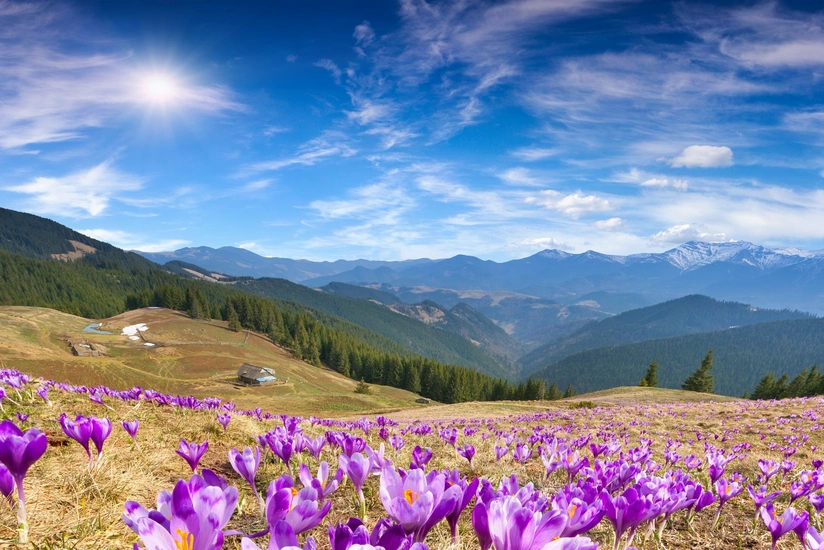 Weather forecast for tomorrow announced