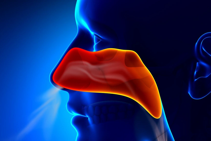 Alimlər koronavirusu üçün ən həssas insan hüceyrələrini təyin edib