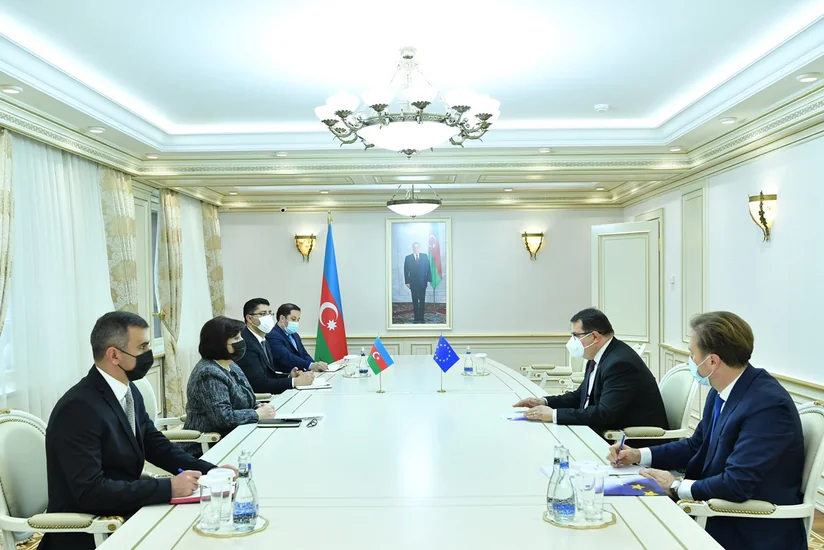 Milli Məclisin sədri Aİ-nin Azərbaycandakı nümayəndəsi ilə görüşüb