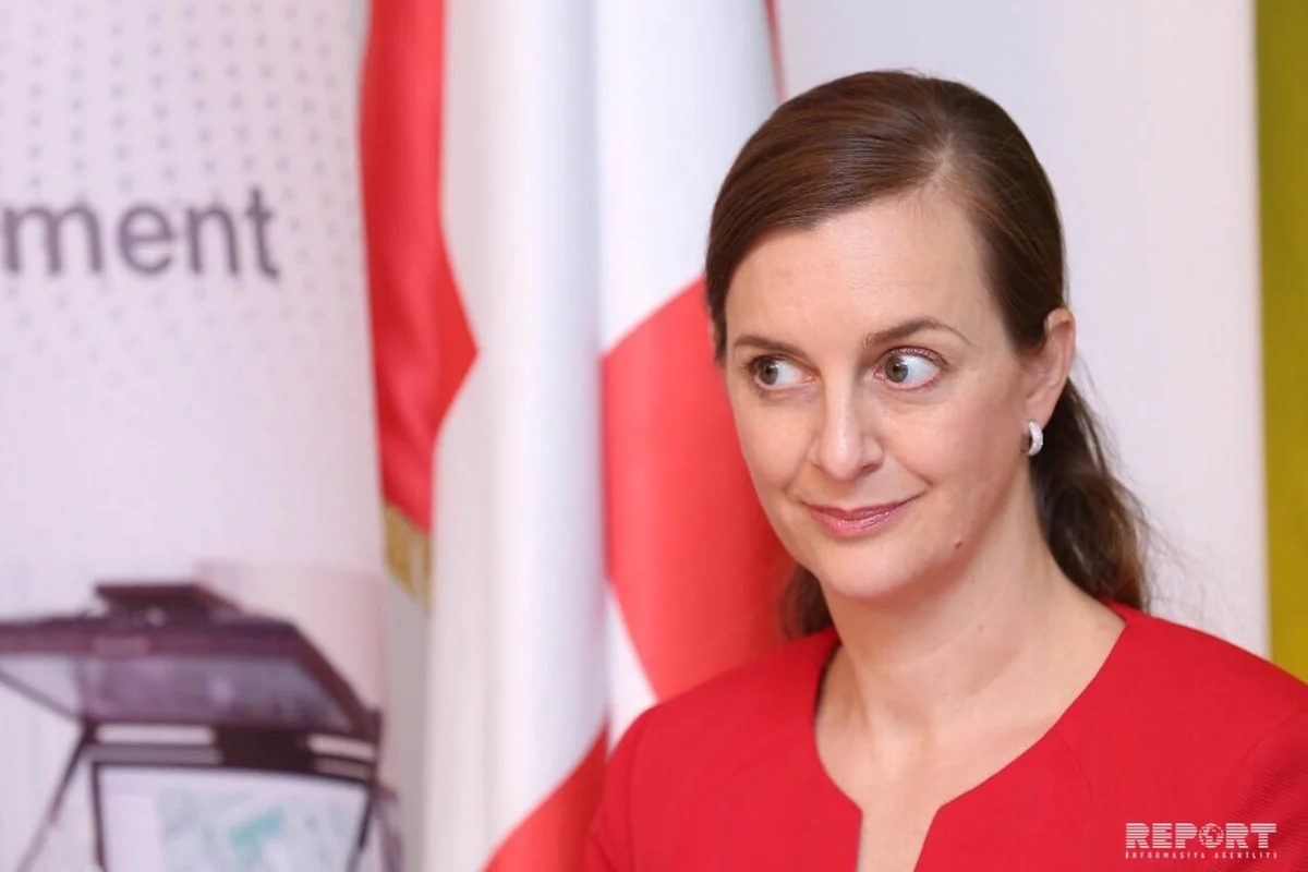 İsveçrə Azərbaycanla uzunmüddətli əməkdaşlığı hədəf seçib