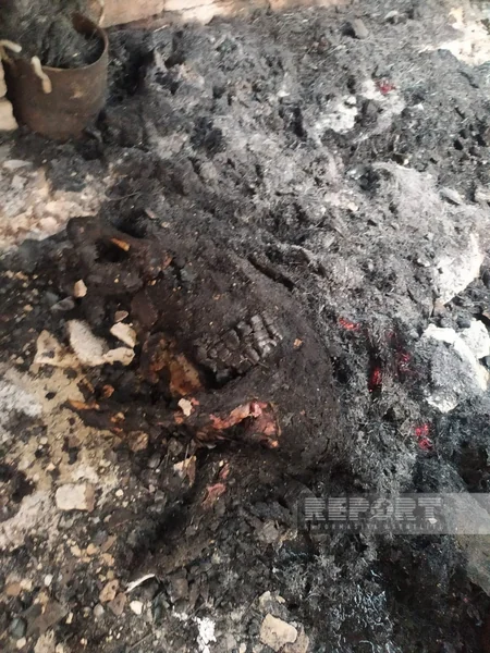 Şabranda tövlə yanıb, mal-qara və ev quşları tələf olub