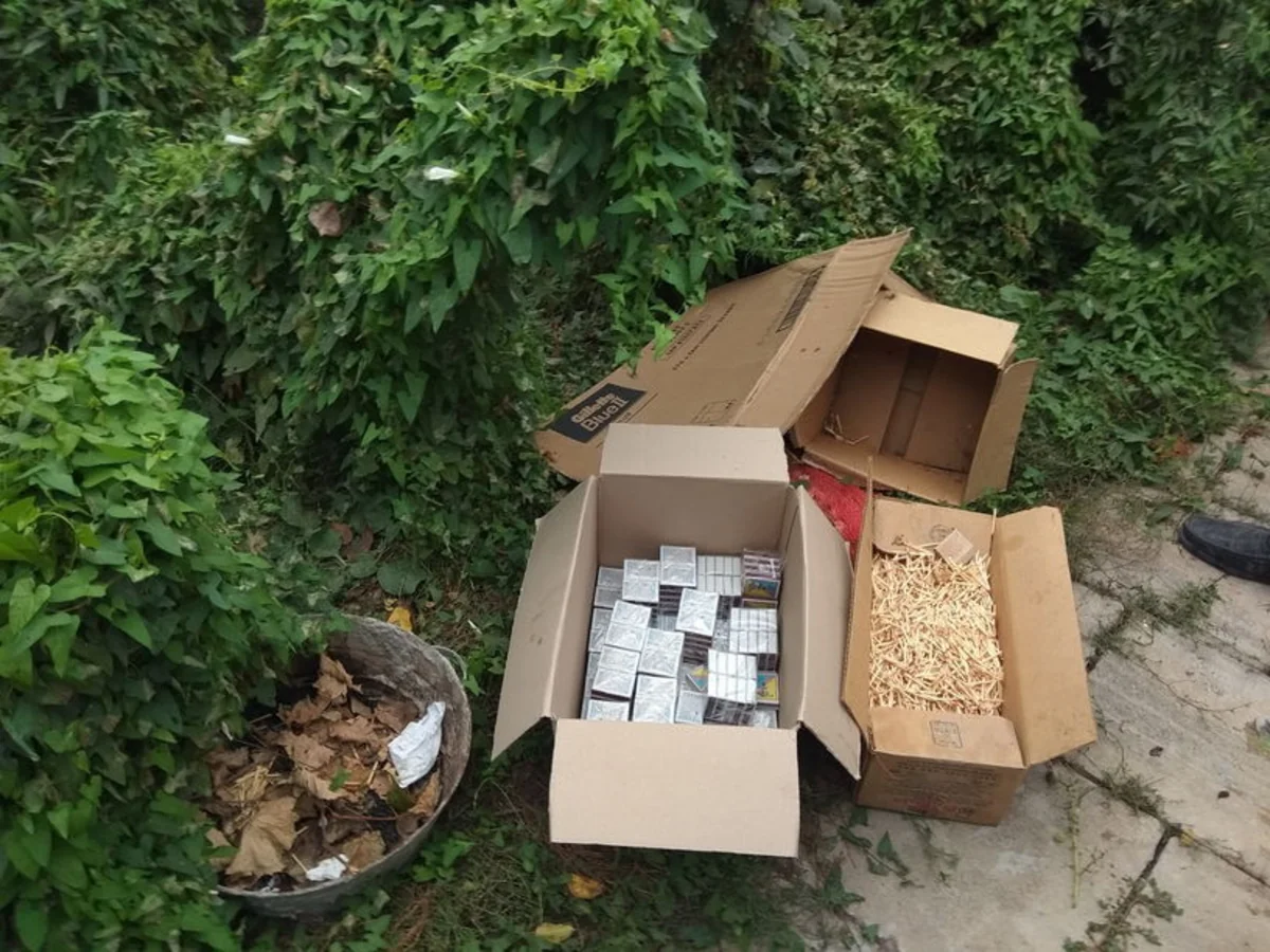 Salyan sakininin həyətindən 166 ədəd çətənə kolu aşkarlanıb