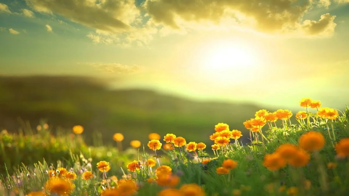 Sabah Bakıda 32 dərəcə isti olacaq