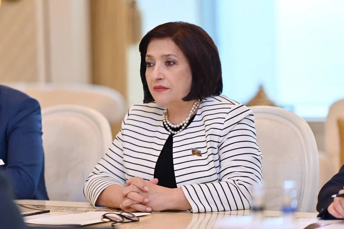 Sahibə Qafarova: MSK yüksək səviyyədə işləyir