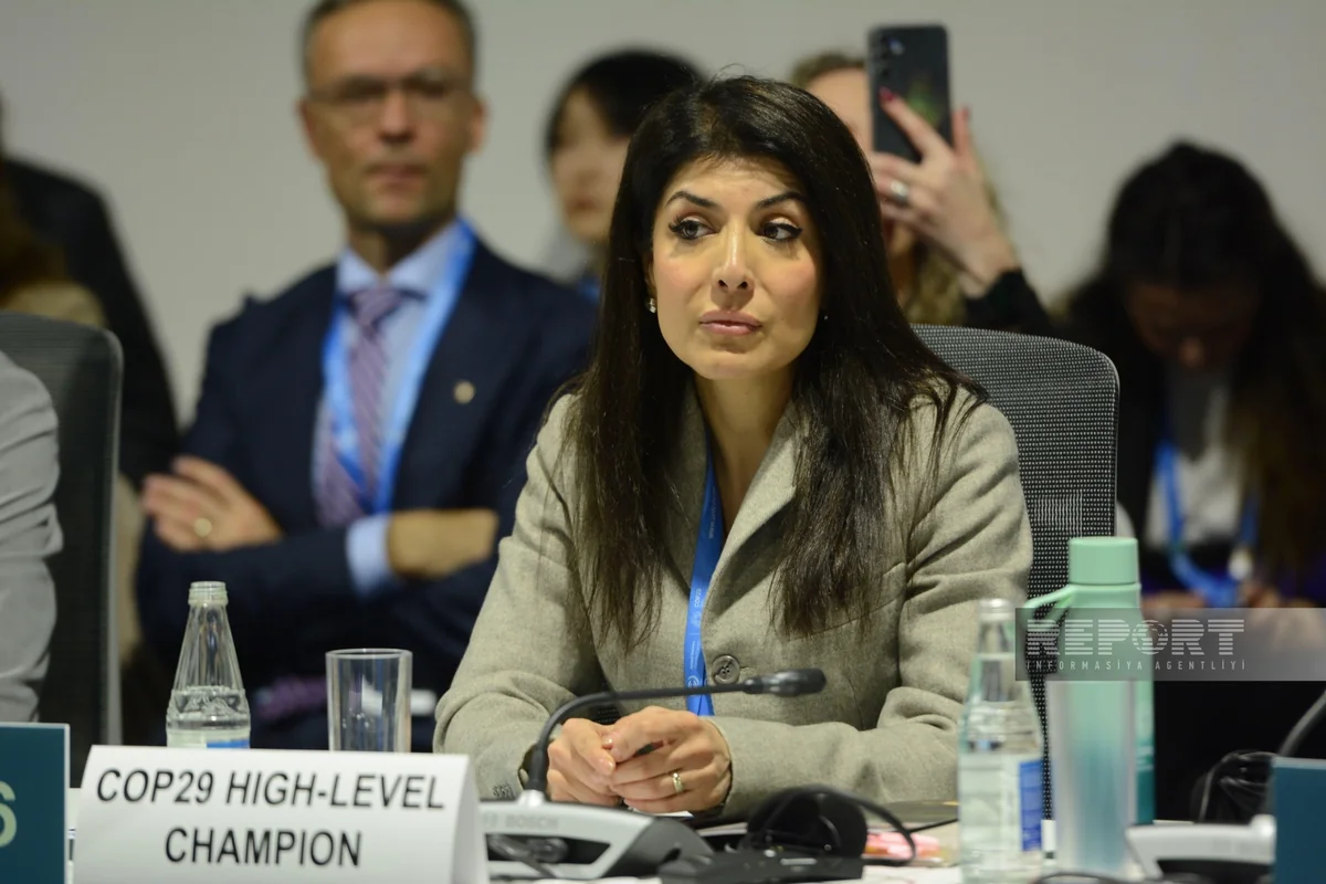 Nigar Arpadarai: Kiçik və orta biznes olmadan yaşıl keçid olmayacaq