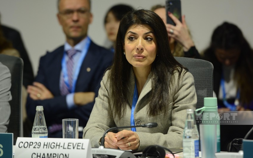 Nigar Arpadarai: Kiçik və orta biznes olmadan yaşıl keçid olmayacaq