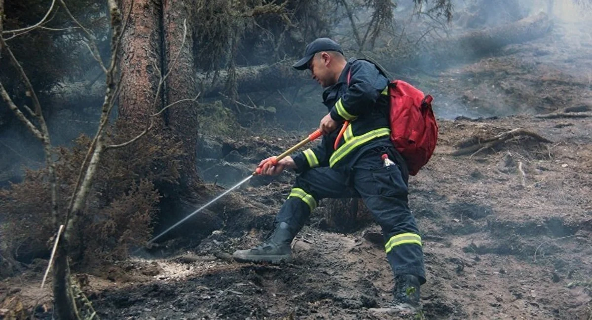 Gürcüstanda iki sutkadır meşə yanır