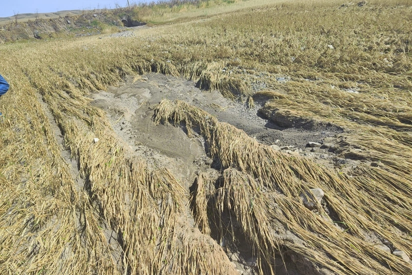 Aqrar Sığorta Fondu: Kənd təsərrüfatına dəymiş zərərlə bağlı müraciətlər artıb