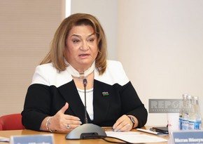 MM-in komitə sədri: Azərbaycanda Ailə mədəniyyəti telekanalı olmalıdır