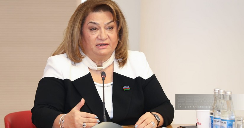 MM-in komitə sədri: Azərbaycanda Ailə mədəniyyəti telekanalı olmalıdır