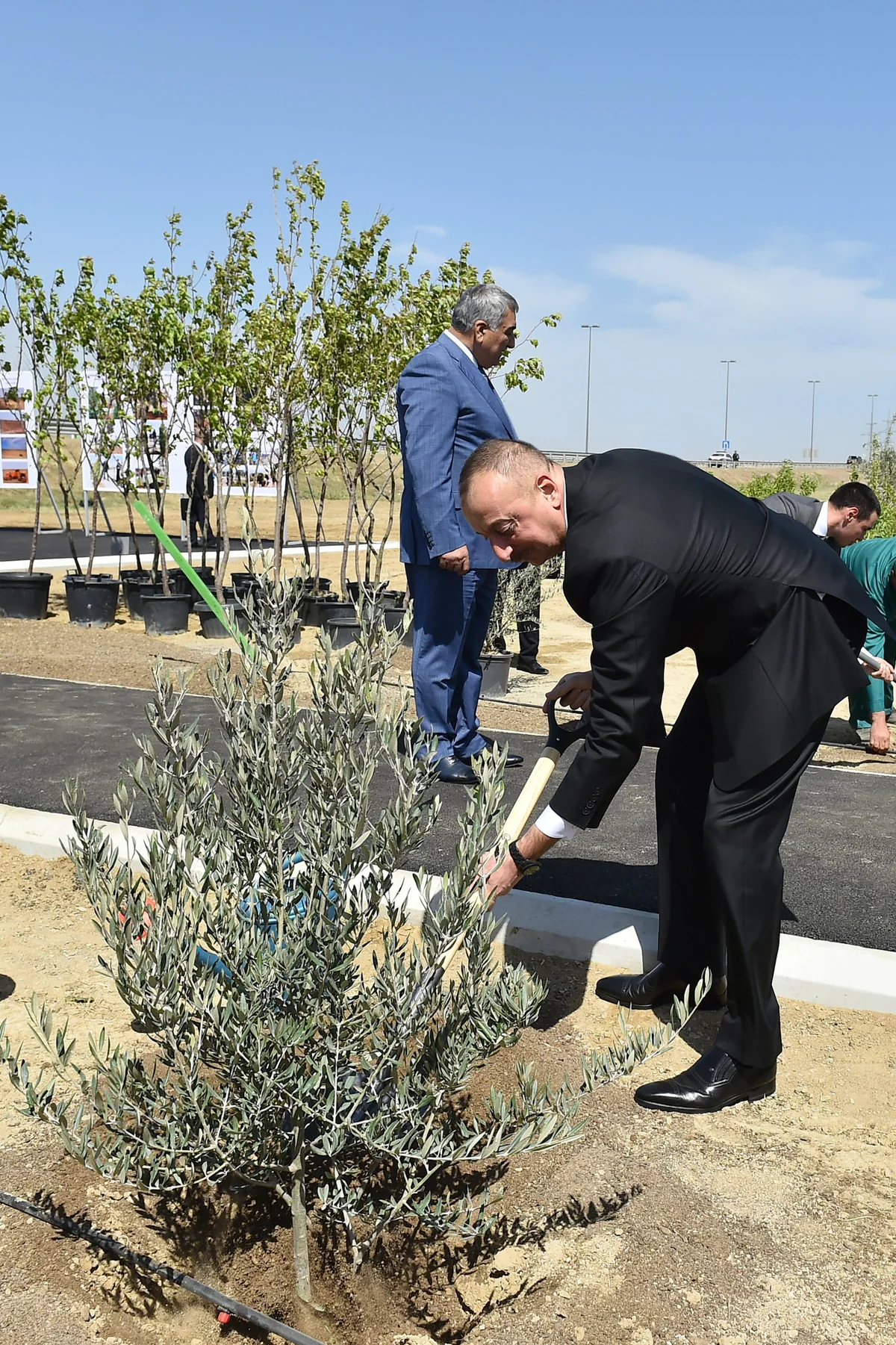 Prezident İlham Əliyev ulu öndər Heydər Əliyevin doğum gününə həsr olunan ağacəkmə aksiyasında iştirak edib - YENİLƏNİB