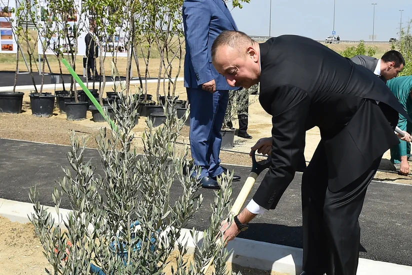 President Ilham Aliyev attends tree-planting campaign over national leader Heydar Aliyev's birthday - UPDATED
