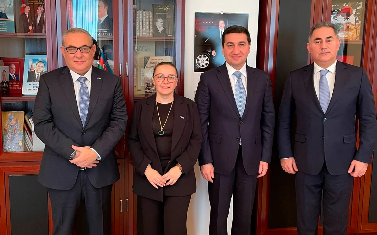 Hikmet Hajiyev mulls co-op with UNDP reps in Azerbaijan