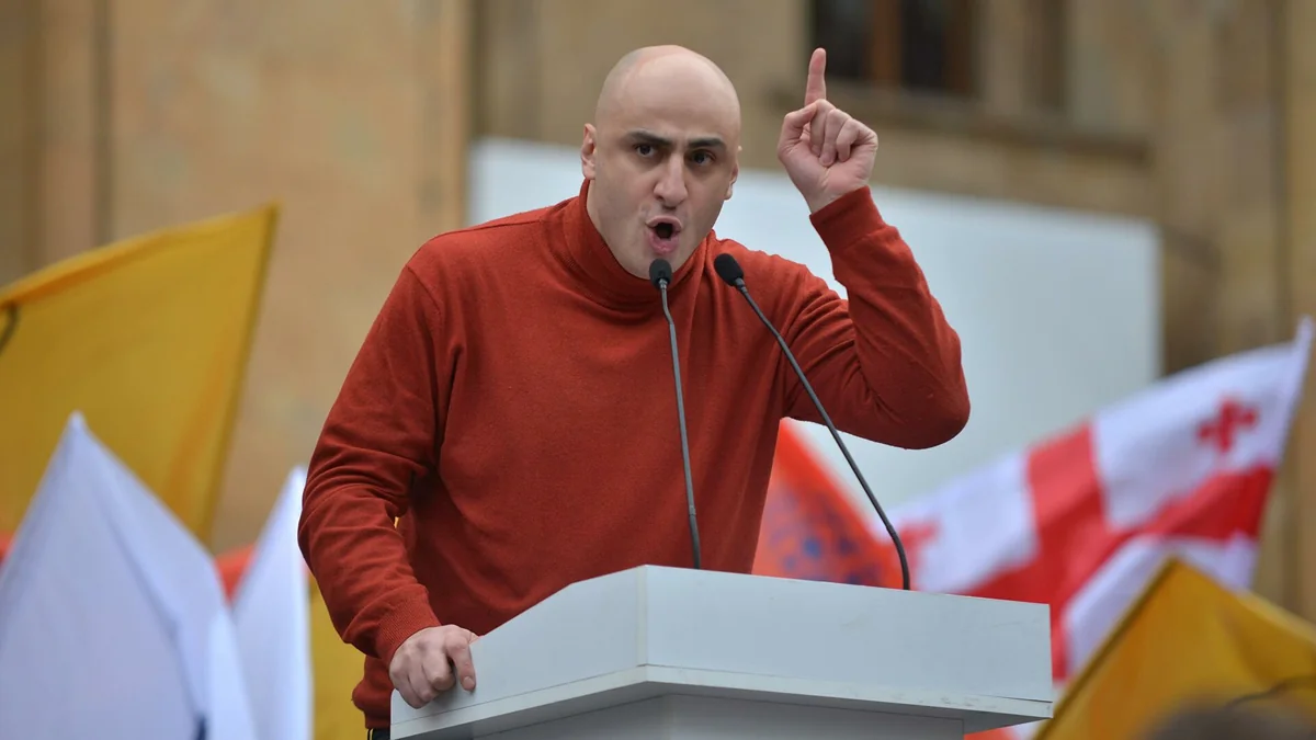 Gürcüstanın müxalifət lideri deputat mandatından imtina edib