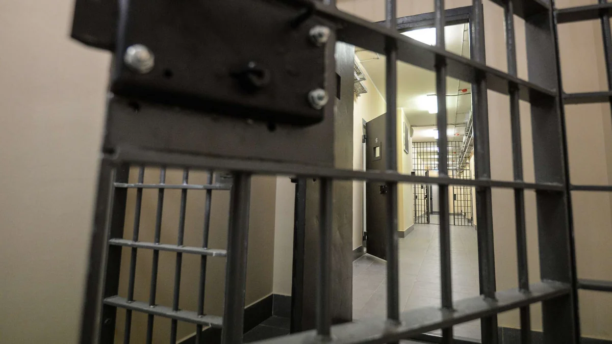 В Беларуси помилованы еще 30 осужденных за преступления протестной направленности