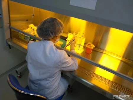 Qida Təhlükəsizliyi İnstitutunun Kompleks Tədqiqatlar Laboratoriyasına infotur təşkil olunub - FOTO