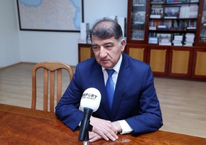 Nazir müavini: İşğal olunmuş ərazilərdə törədilən ekoloji cinayətlərə son qoyulmalıdır