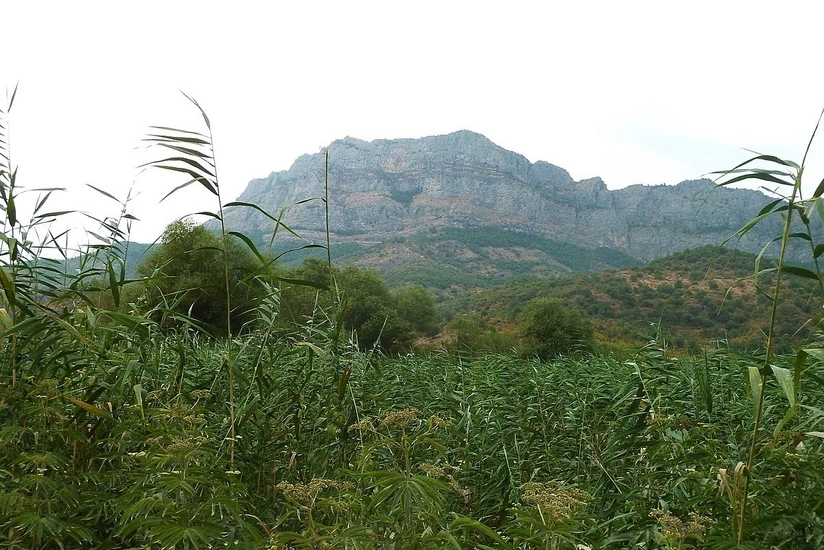 Zəngilanın işğalından 25 il ötür