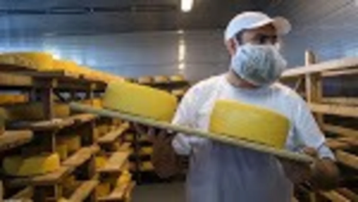 Российский производитель сыров грозится перенести часть предприятия в другую страну