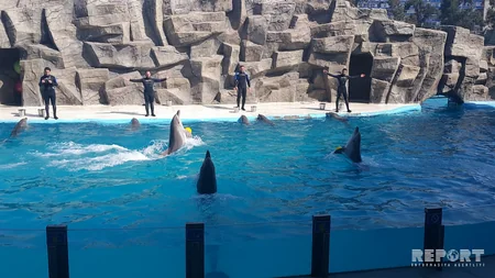 Батуми - жемчужина Черного моря, город с необычной архитектурой - РЕПОРТАЖ