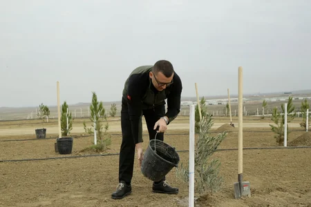 Azərbaycanda Türk Dövlətləri Milli Ağaclandırma Günü münasibətilə 111 min 111 ağac əkilib