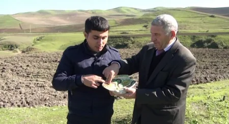 ​Cəlilabadın əkin sahələrində er.əv I minilliyə aid əşyalar tapılıb